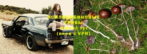 меф Няндома