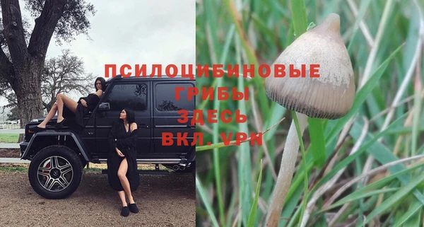 меф Няндома