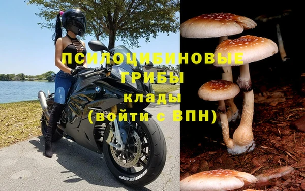 меф Няндома