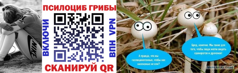 продажа наркотиков  Белая Холуница  Галлюциногенные грибы Psilocybe 